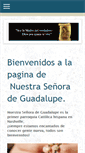 Mobile Screenshot of nsdeguadalupe.org